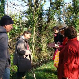 stage plantes médicinales