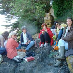 plantes medicinales 2016