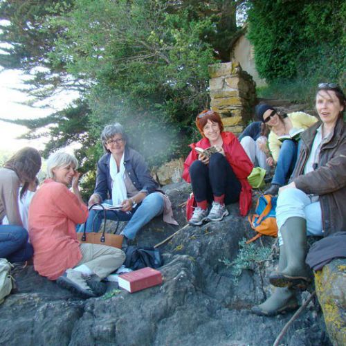 plantes medicinales 2016